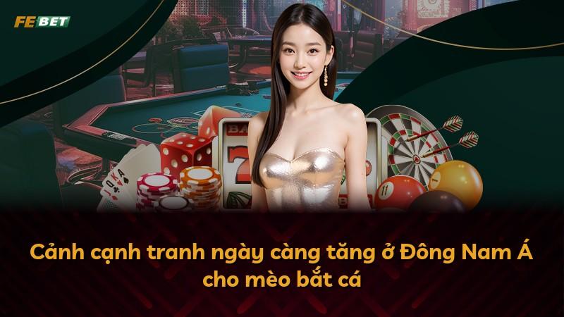 Cảnh cạnh tranh ngày càng tăng ở Đông Nam Á cho mèo bắt cá