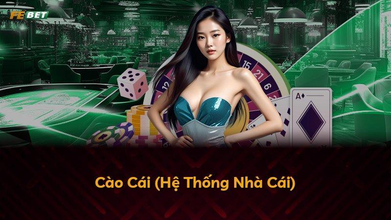 Cào Cái (Hệ Thống Nhà Cái)