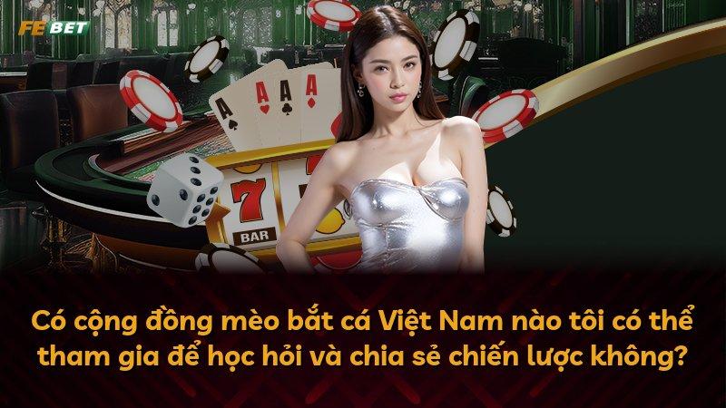 Có cộng đồng mèo bắt cá Việt Nam nào tôi có thể tham gia để học hỏi và chia sẻ chiến lược không?