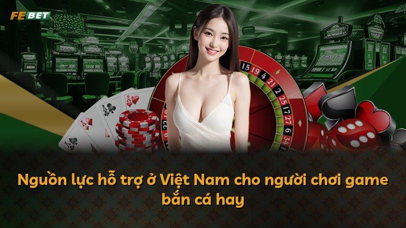 Nguồn lực hỗ trợ ở Việt Nam cho người chơi game bắn cá hay