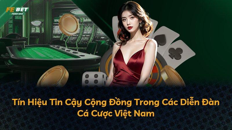 Tín Hiệu Tin Cậy Cộng Đồng Trong Các Diễn Đàn Cá Cược Việt Nam